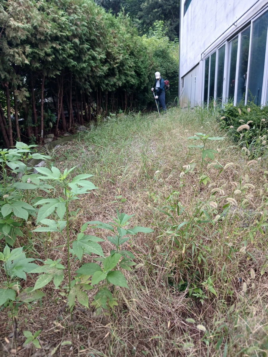 KakaoTalk_20260819_091624252_04.jpg