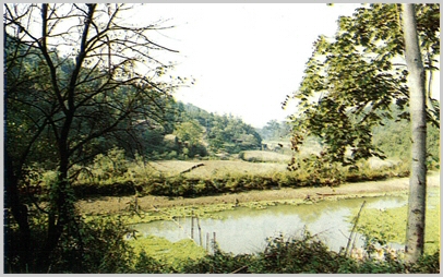 sijo02.jpg