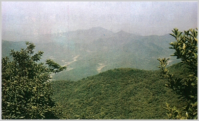 sijo04.jpg